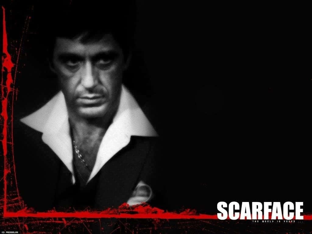 Outstanding Desktop Wallpaper Featuring The Great Scarface Background