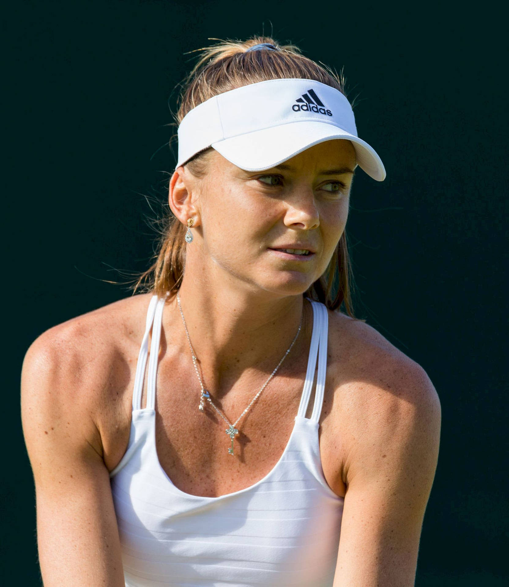 Outstanding Tennis Player, Daniela Hantuchova Background