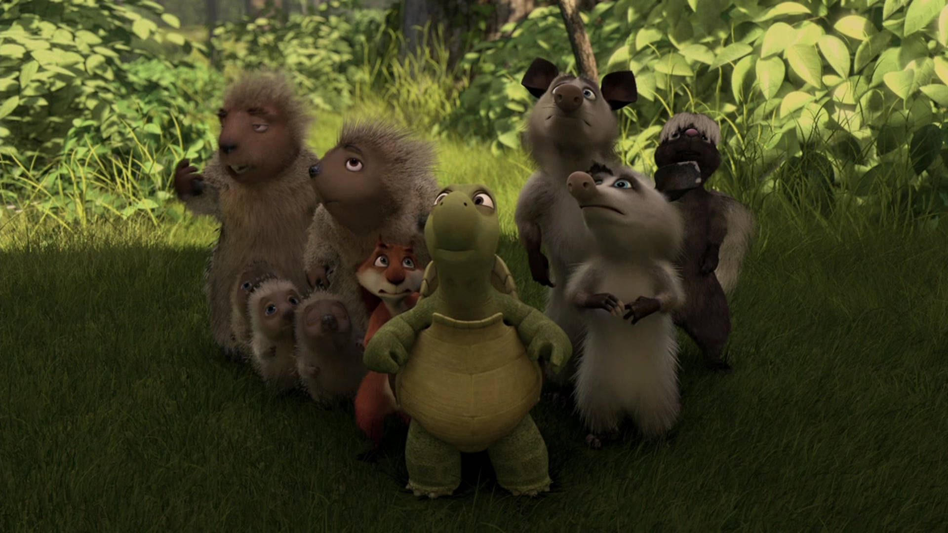 Over The Hedge Characters Background