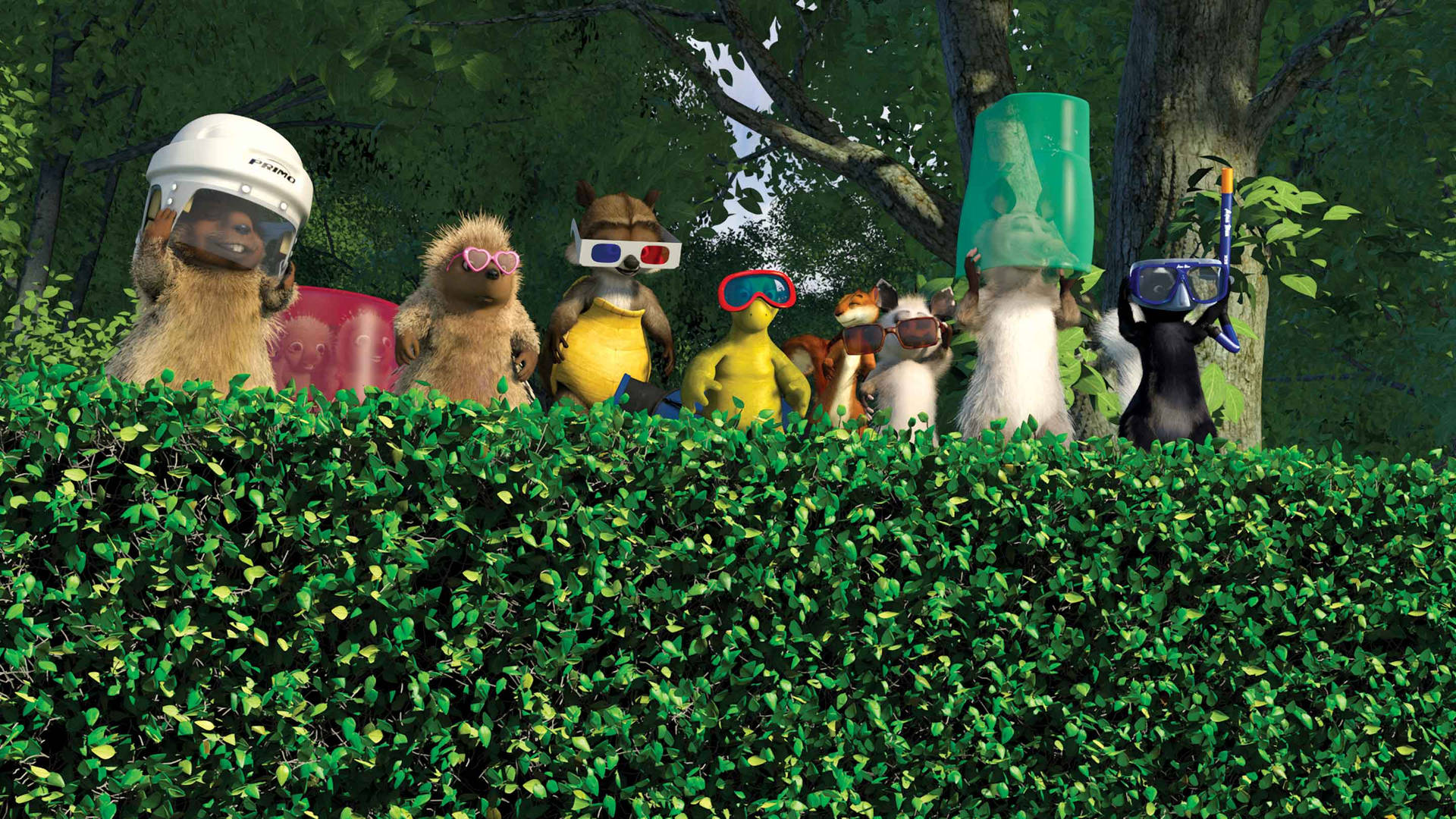 Over The Hedge Wearing Sunglasses Background