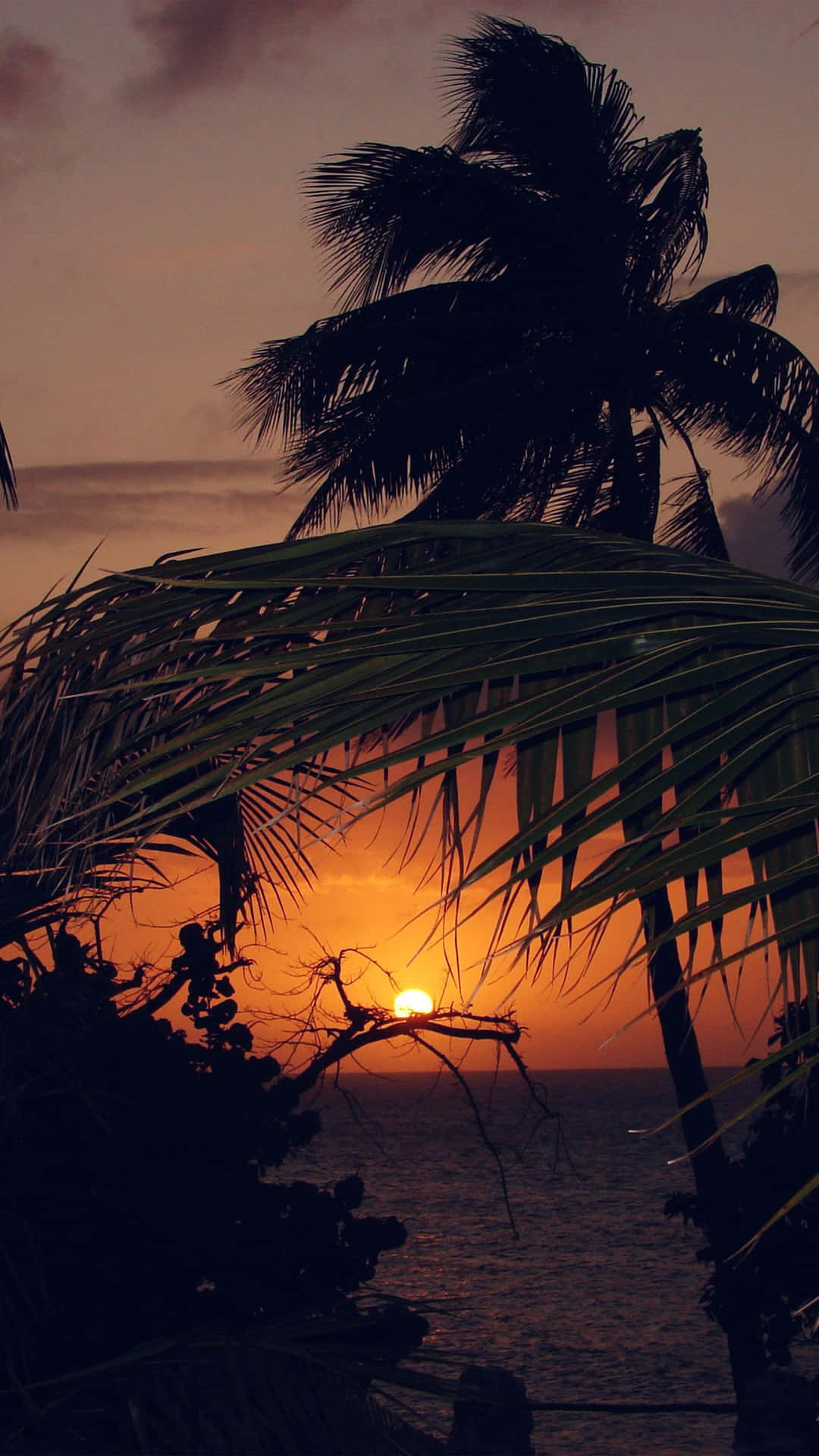 Over The Holiday Season, Upgrade To An Amazing Iphone