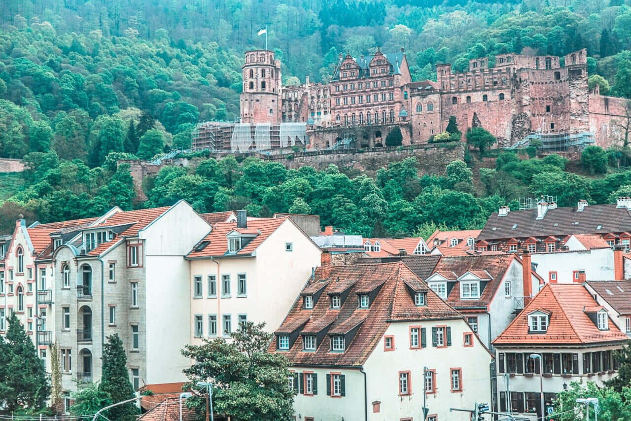 Overlooking Heidelberg Castle