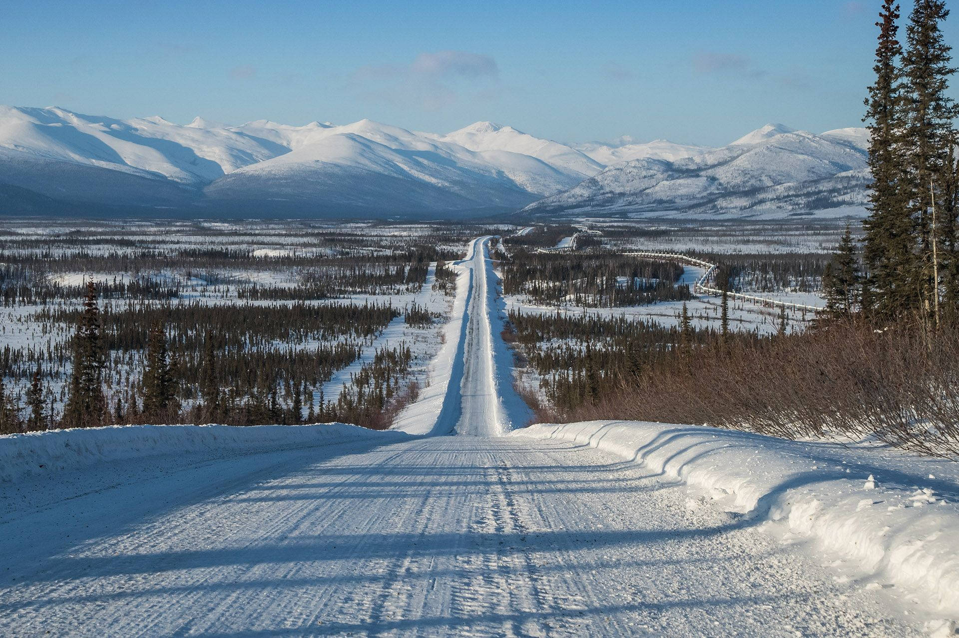 Overlooking Mountains In Anchorage Background