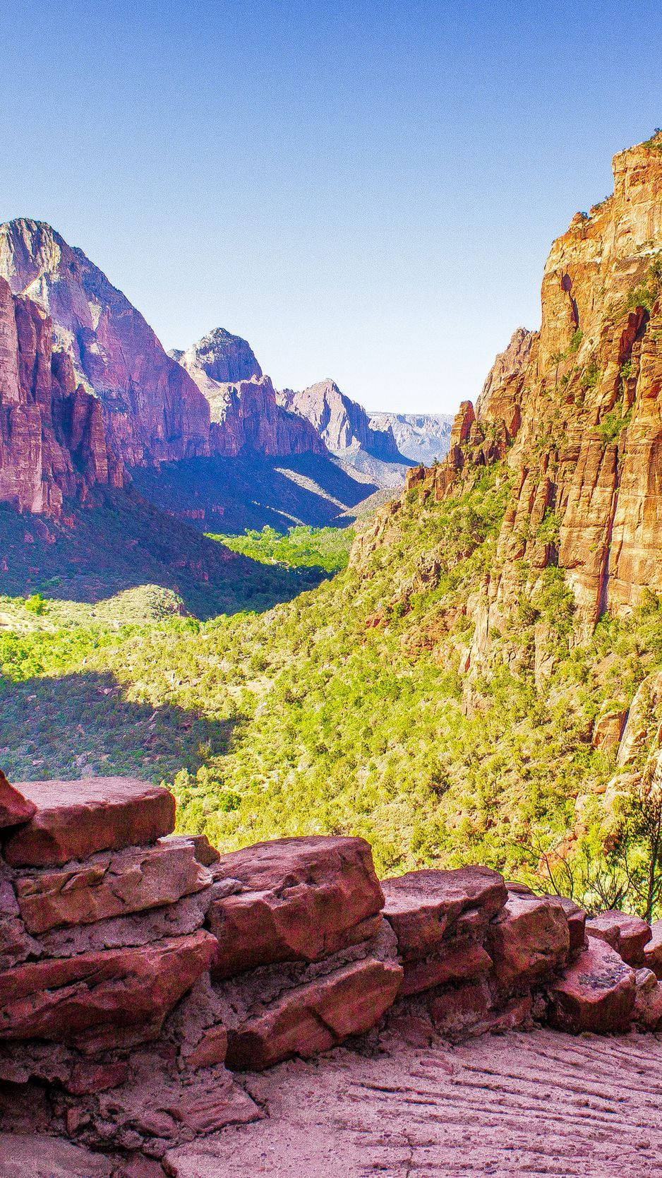 Overlooking The Zion National Park Background