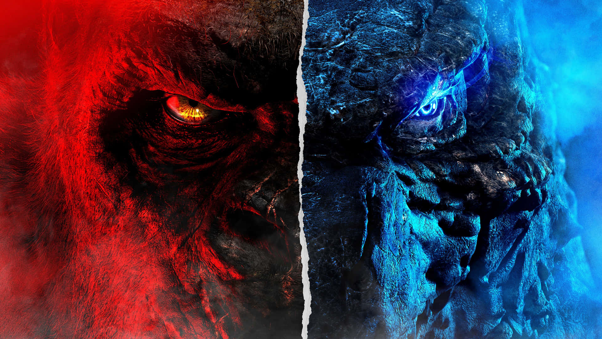 Overt Kong And Godzilla Background