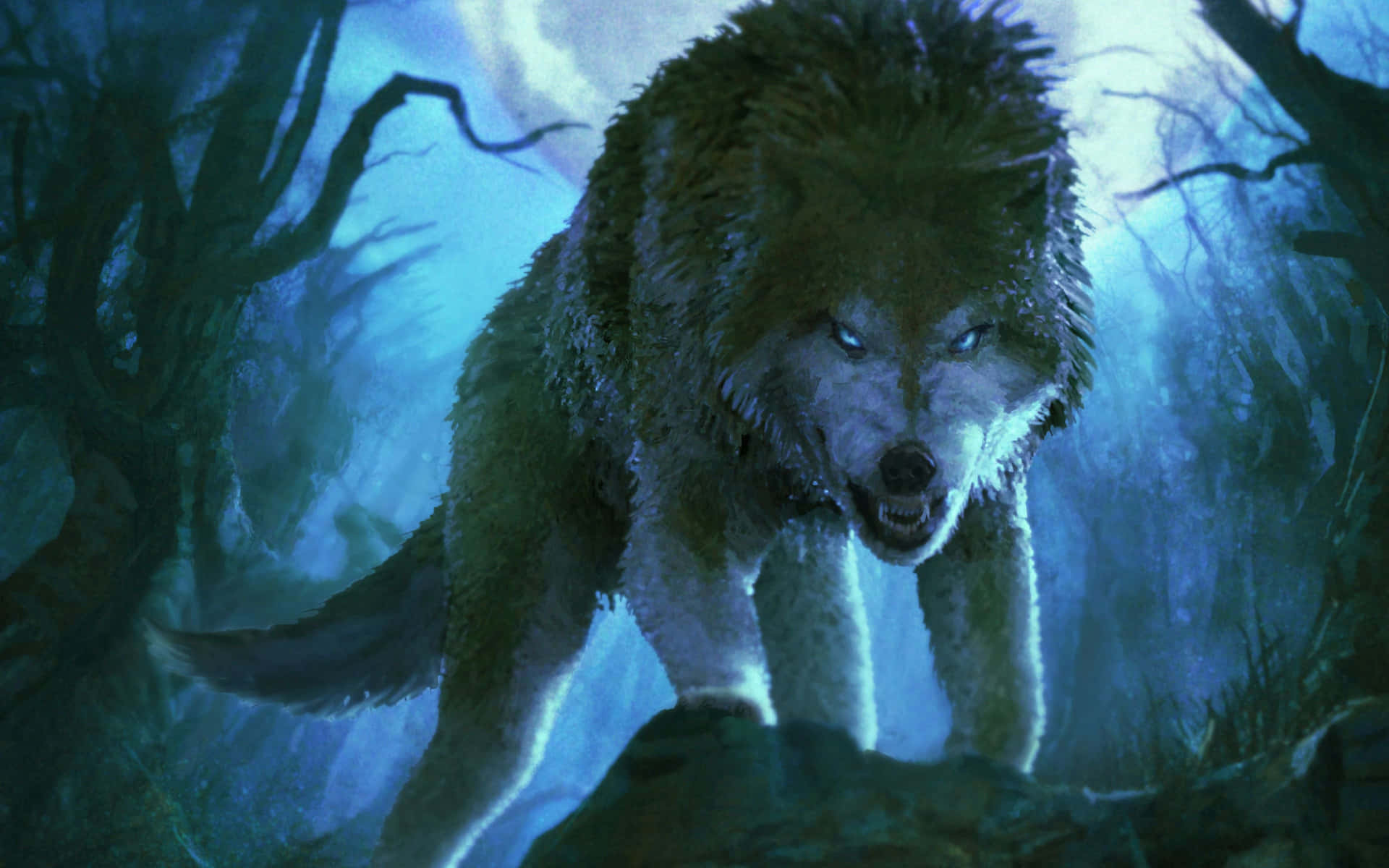 Overt Wolf In The Woods Background