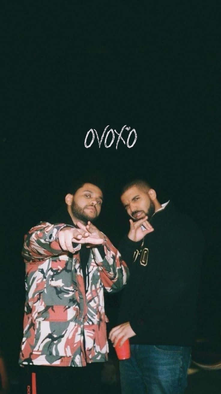 Ovoxo Guys Background