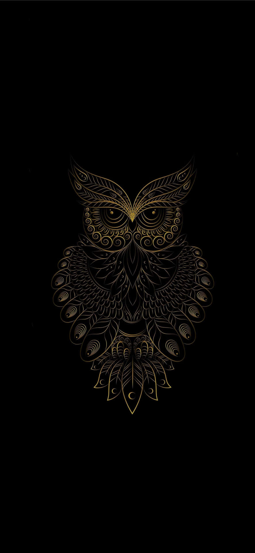 Owl Bird Iphone Art On Black Background