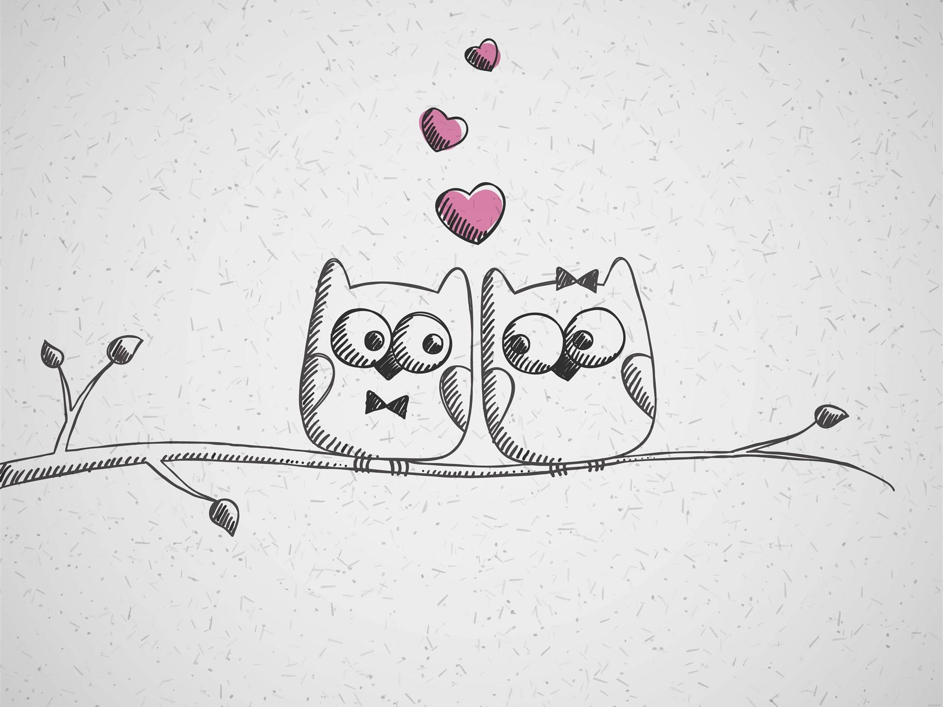 Owl Love Drawing Background
