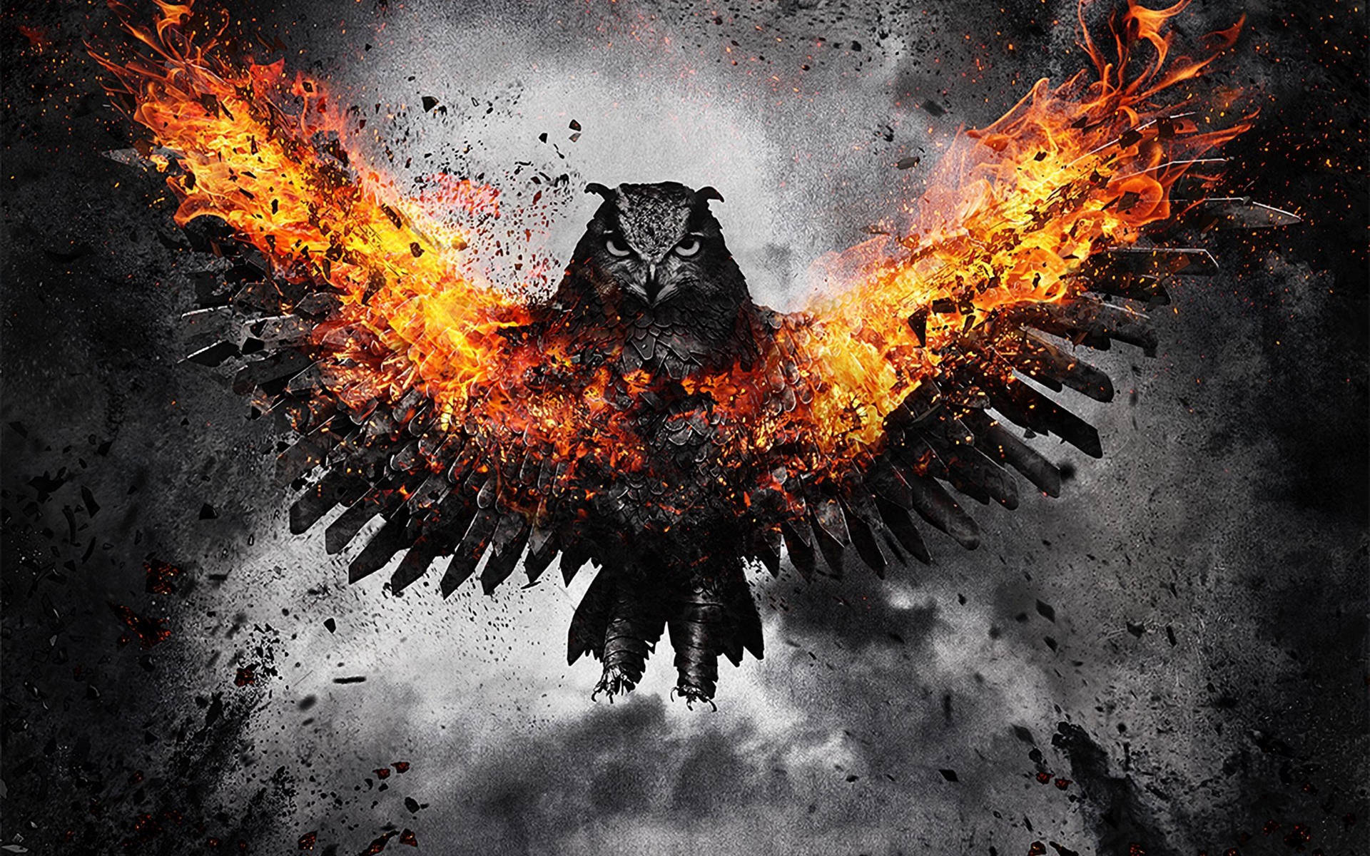 Owl With Fire Wings Background