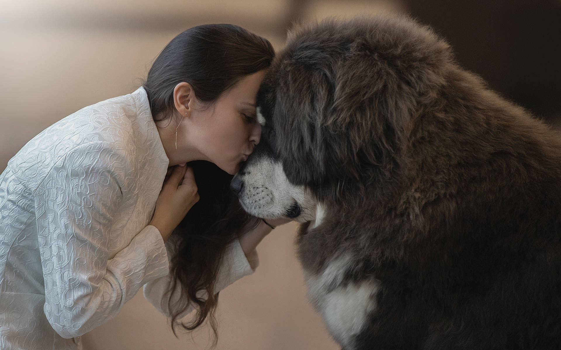 Owner And Pet Dog Kissing Hd Background