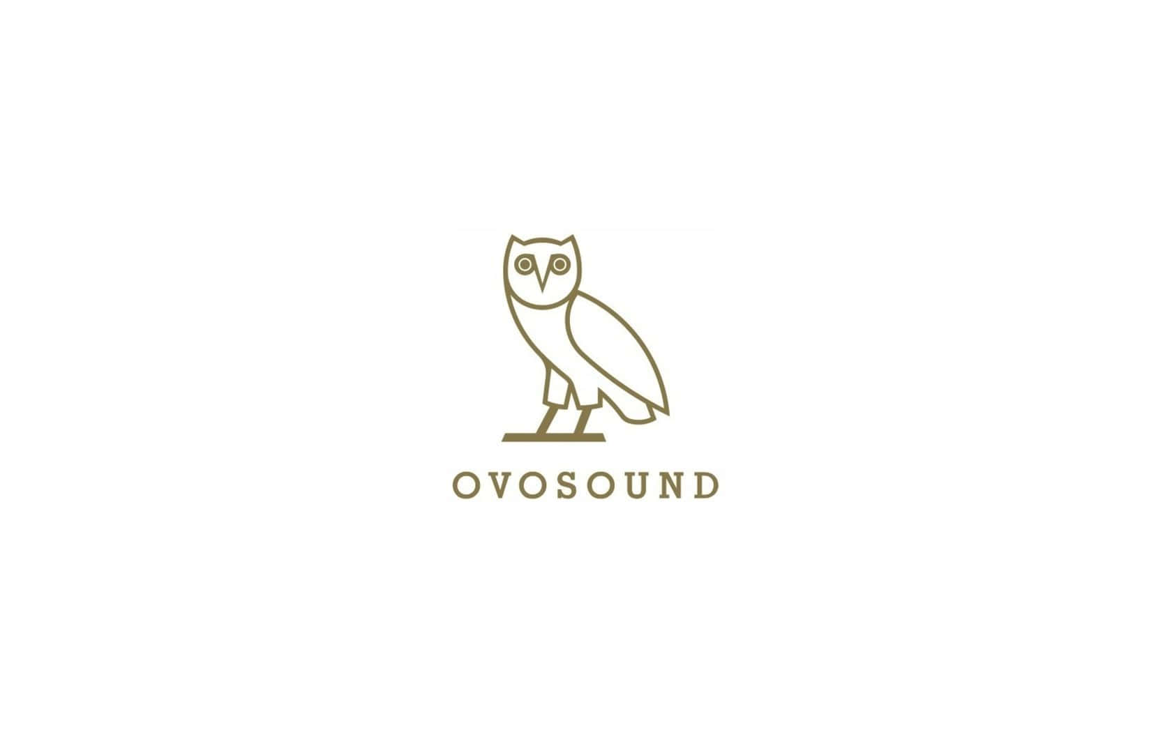 Oyosound Logo With An Owl On It Background