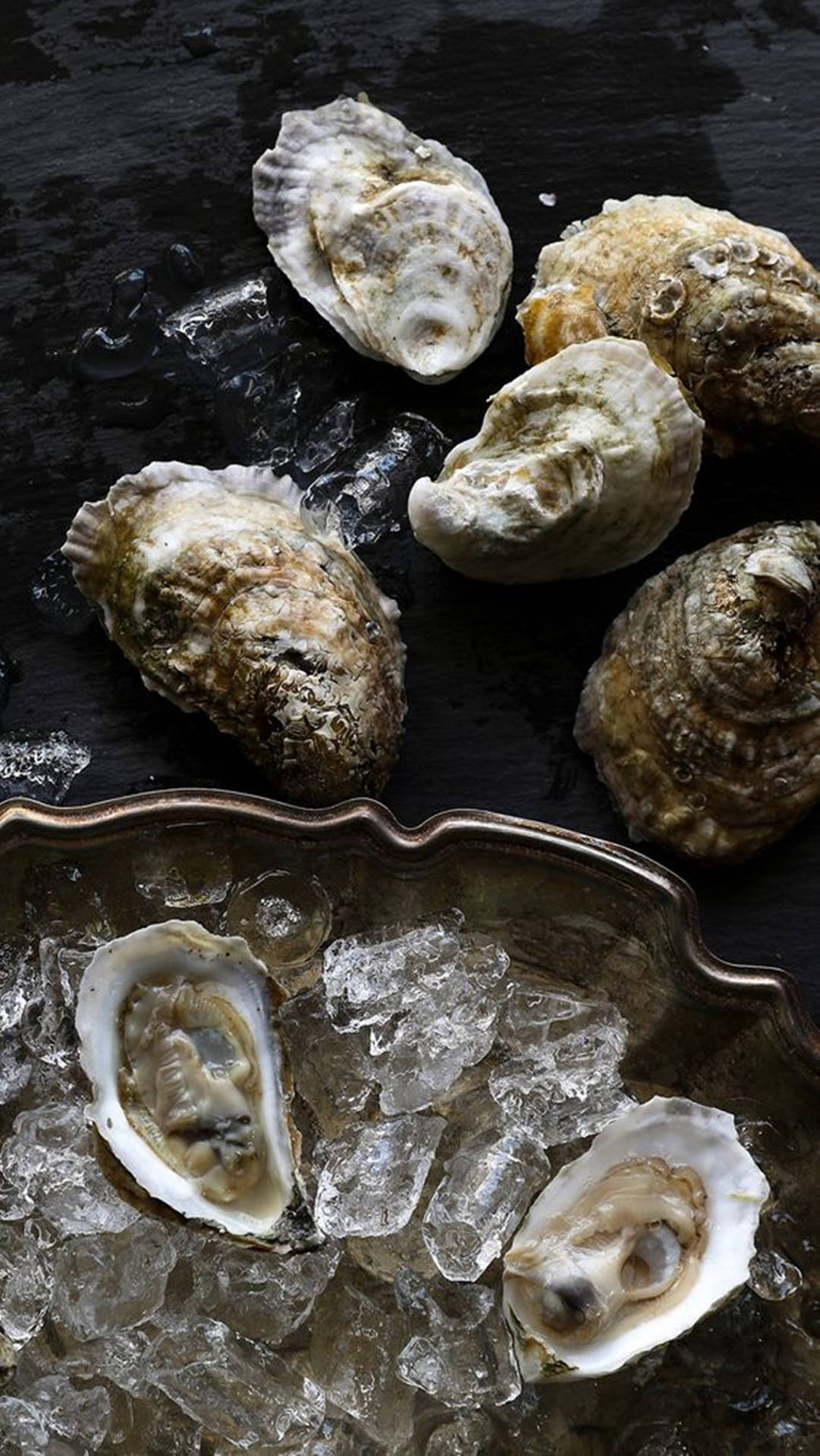 Oyster Shells On Ice