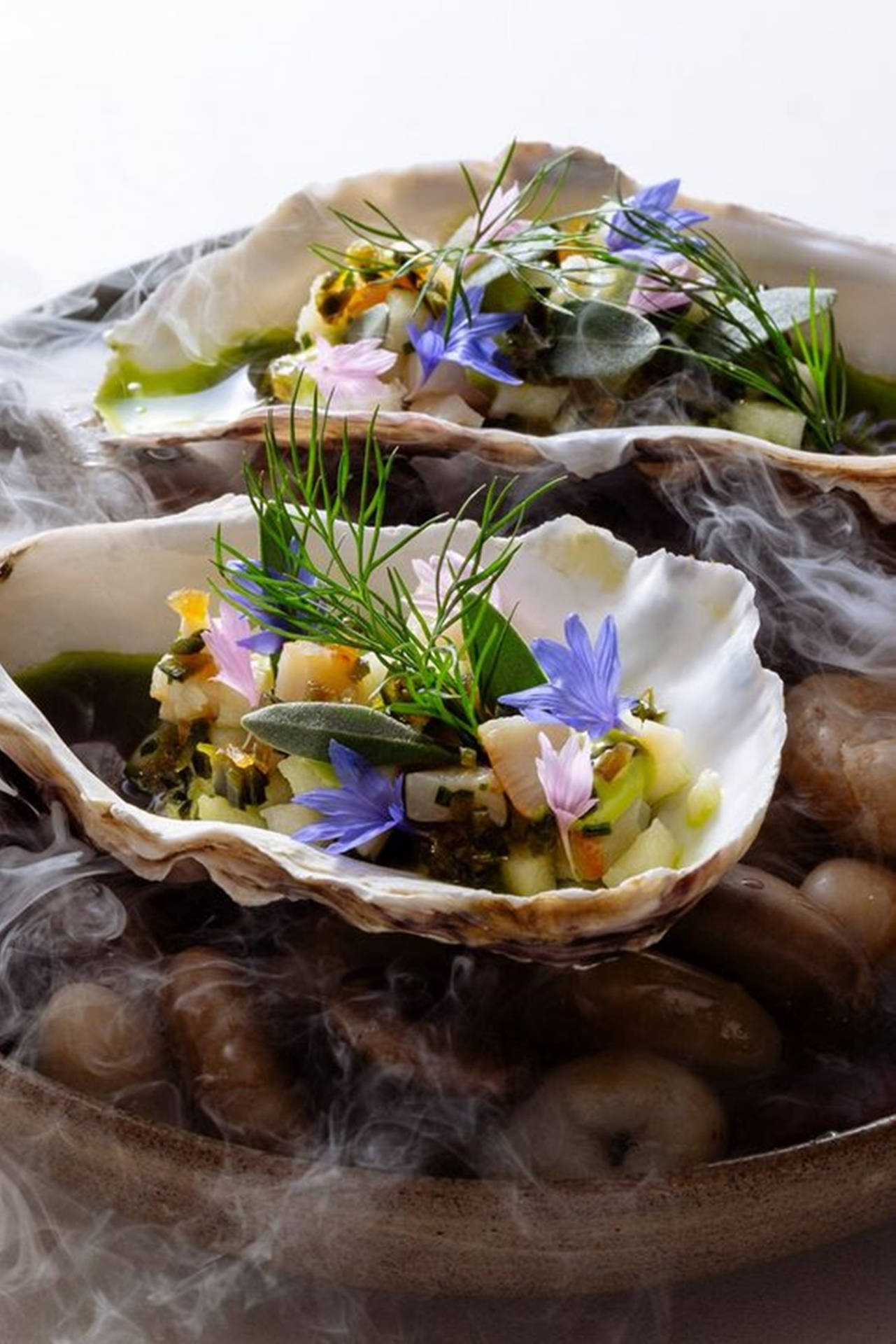 Oysters With Tiny Flower Garnish Background