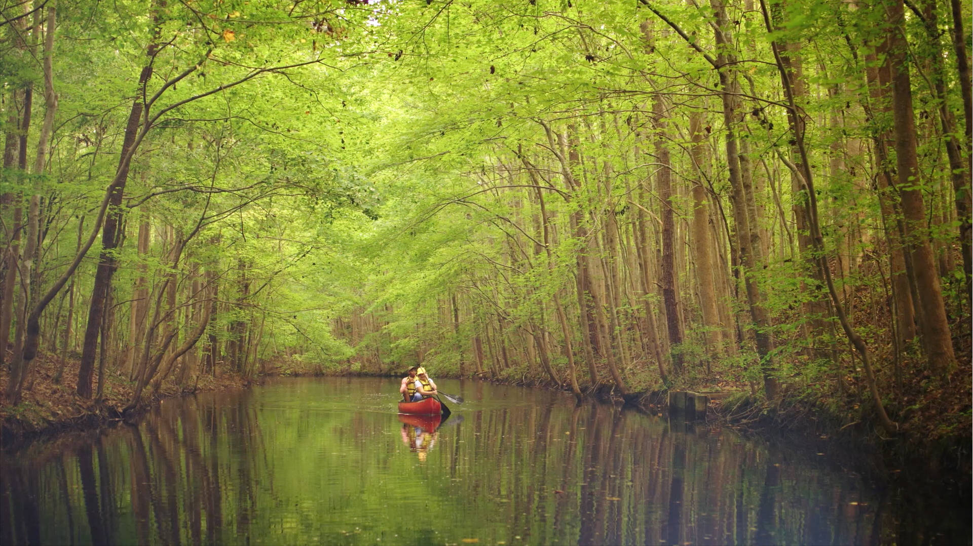 Paddling In Chesapeake's Waterways Background