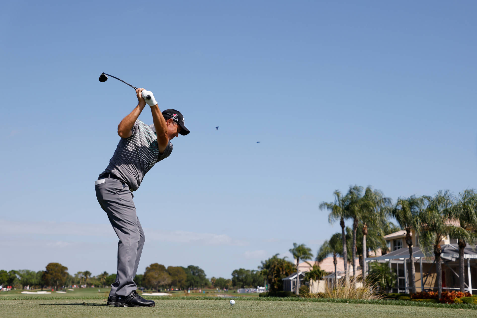 Padraig Harrington Mid-swing Shot Background