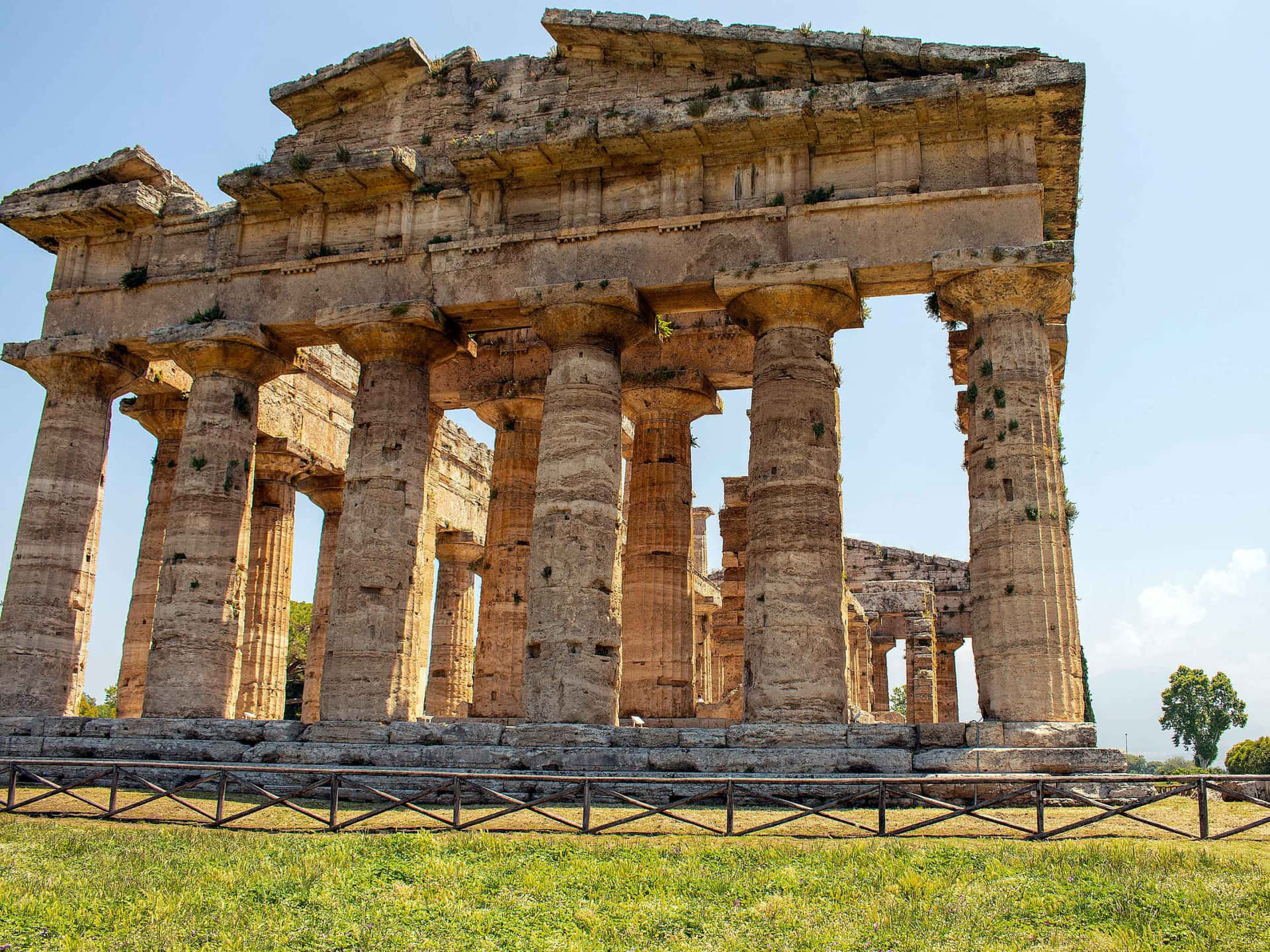 Paestum Beige Columns