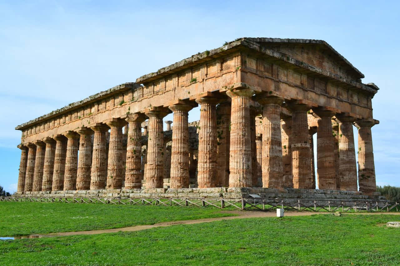 Paestum Cut Green Grass Background