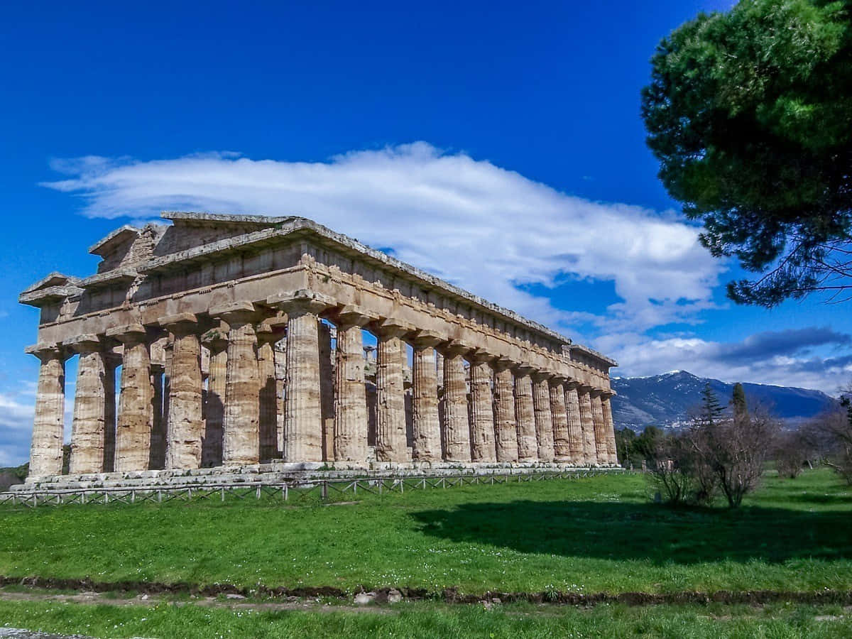 Paestum Grassy Sunny Day