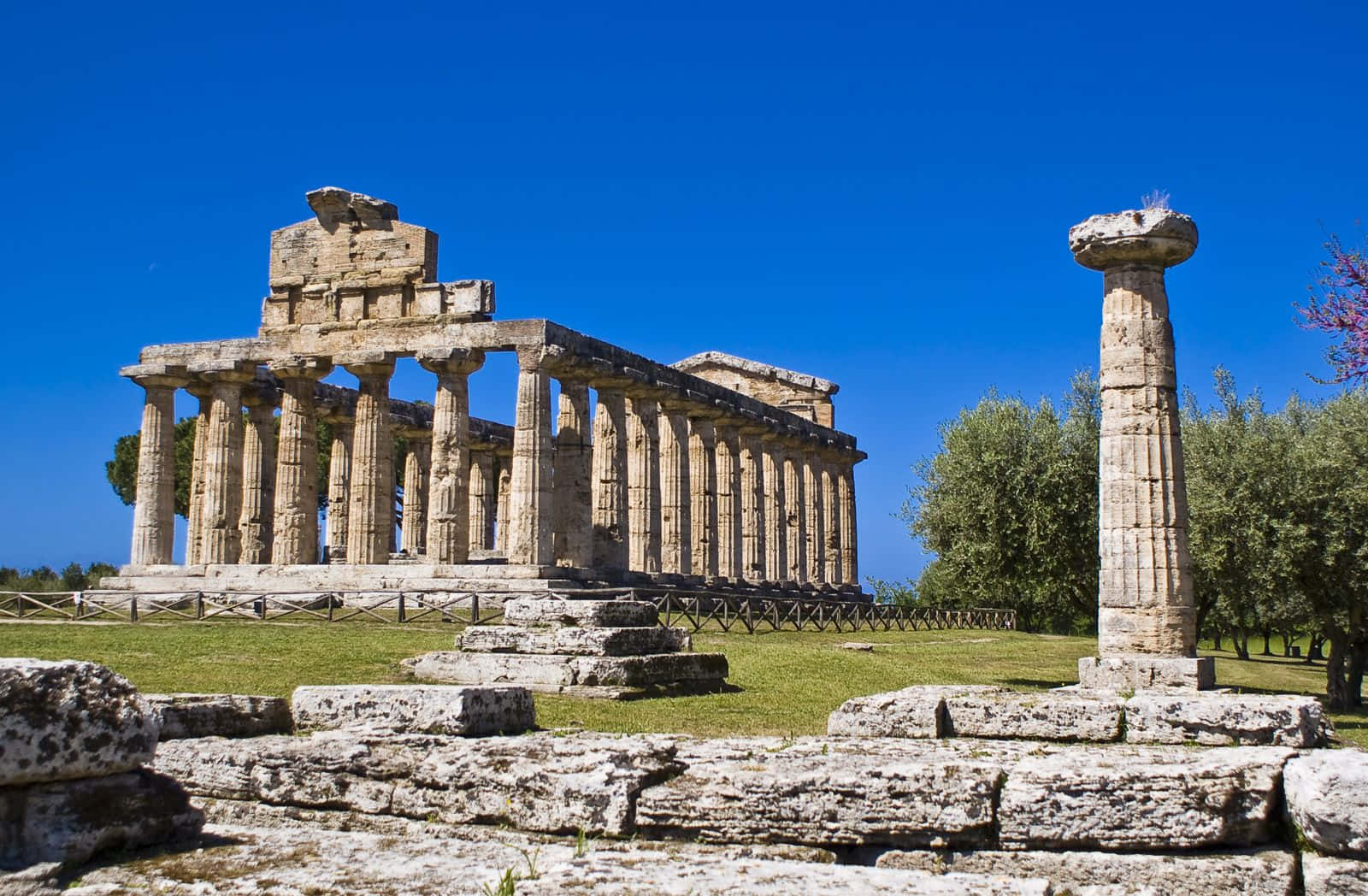 Paestum Singular Column Background