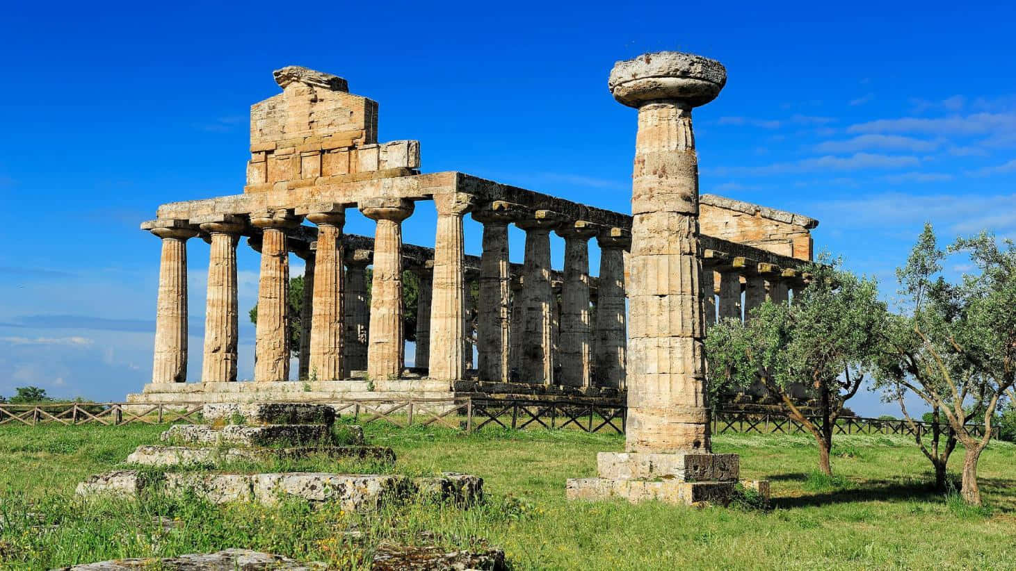 Paestum Tall Single Column Background