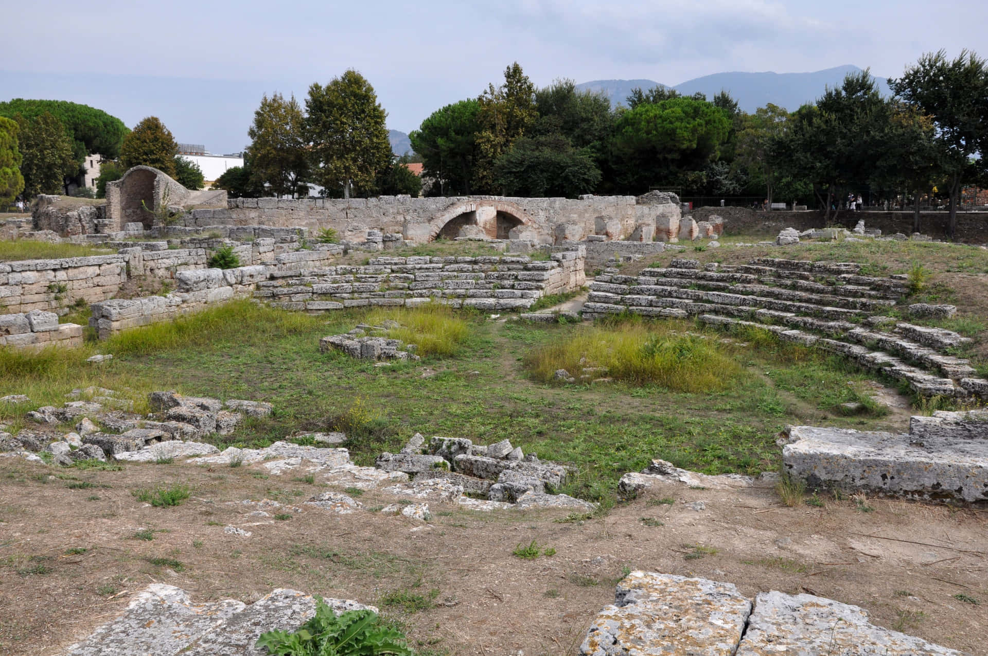 Paestum Theatron