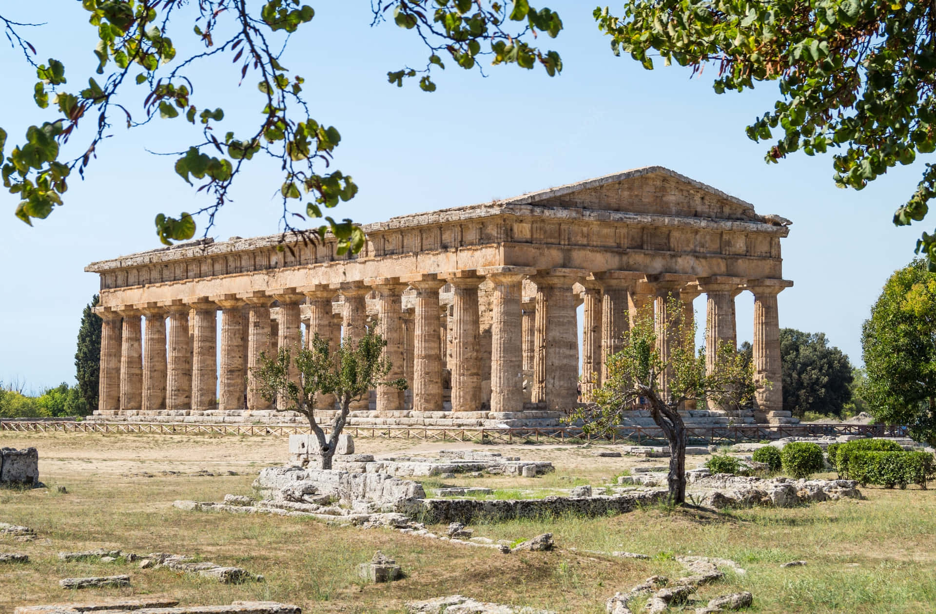 Paestum Tree Borders