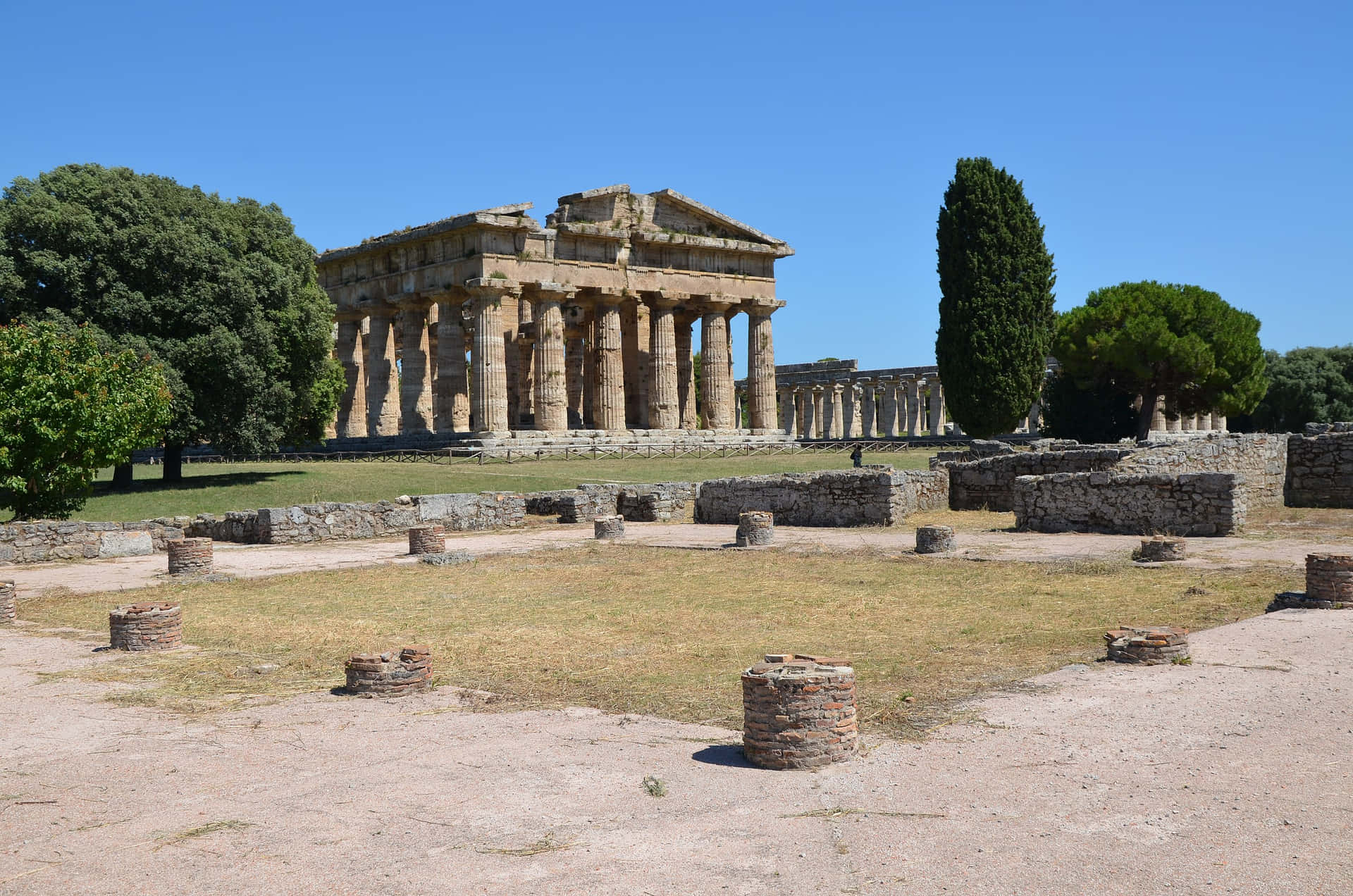 Paestum Trunk Columns Background