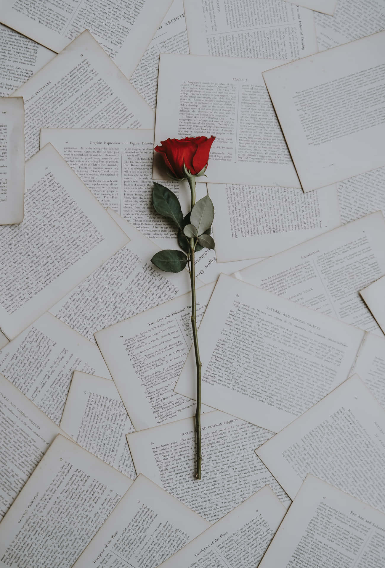 Pages Of Poems With Rose Background