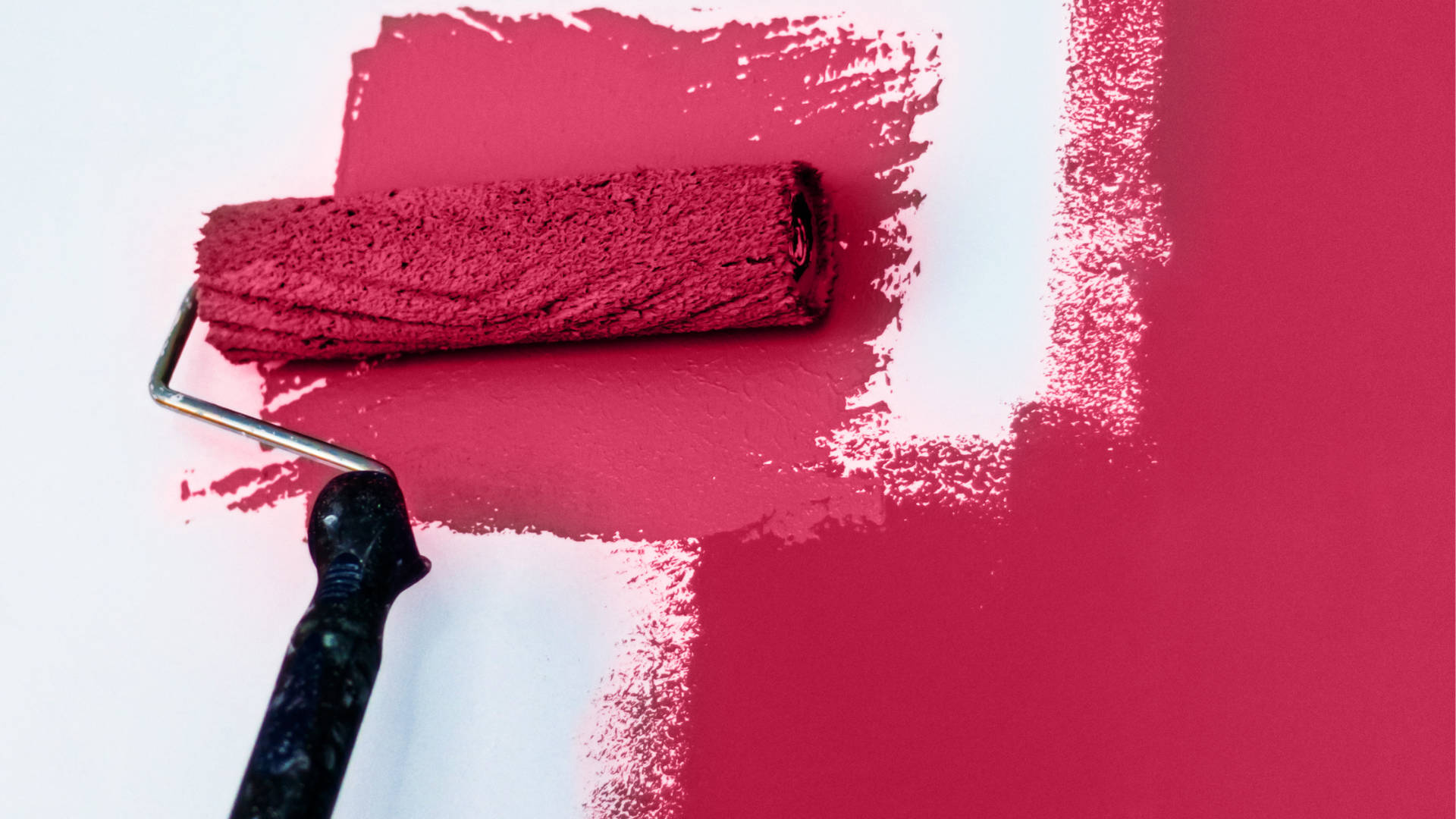 Paint Roller With Magenta Paint