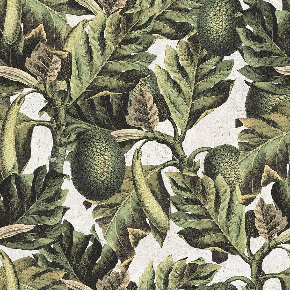 Painted Breadfruit Plant Background