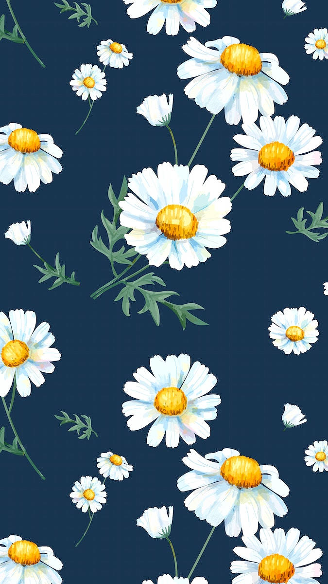 Painted Illustration Of White Daisy Iphone Background