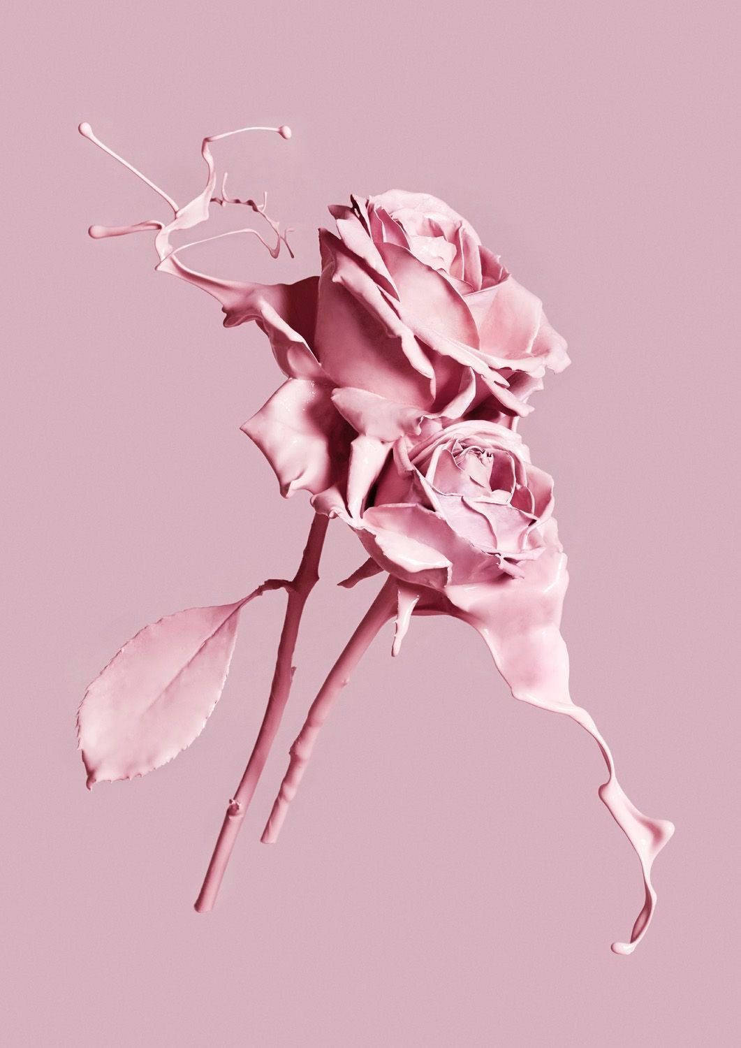 Painted Pink Roses Background