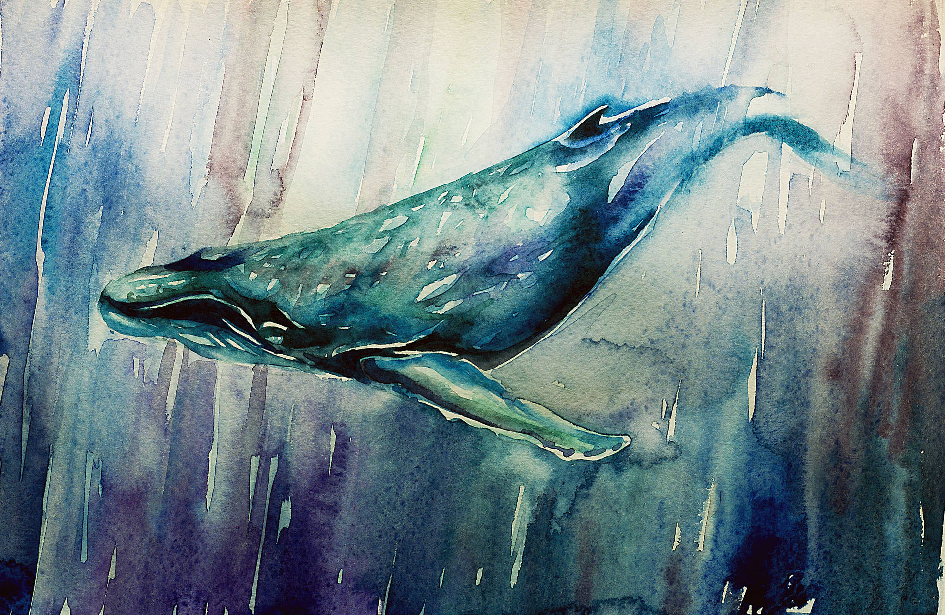 Painting Of A Whale Underwater Background