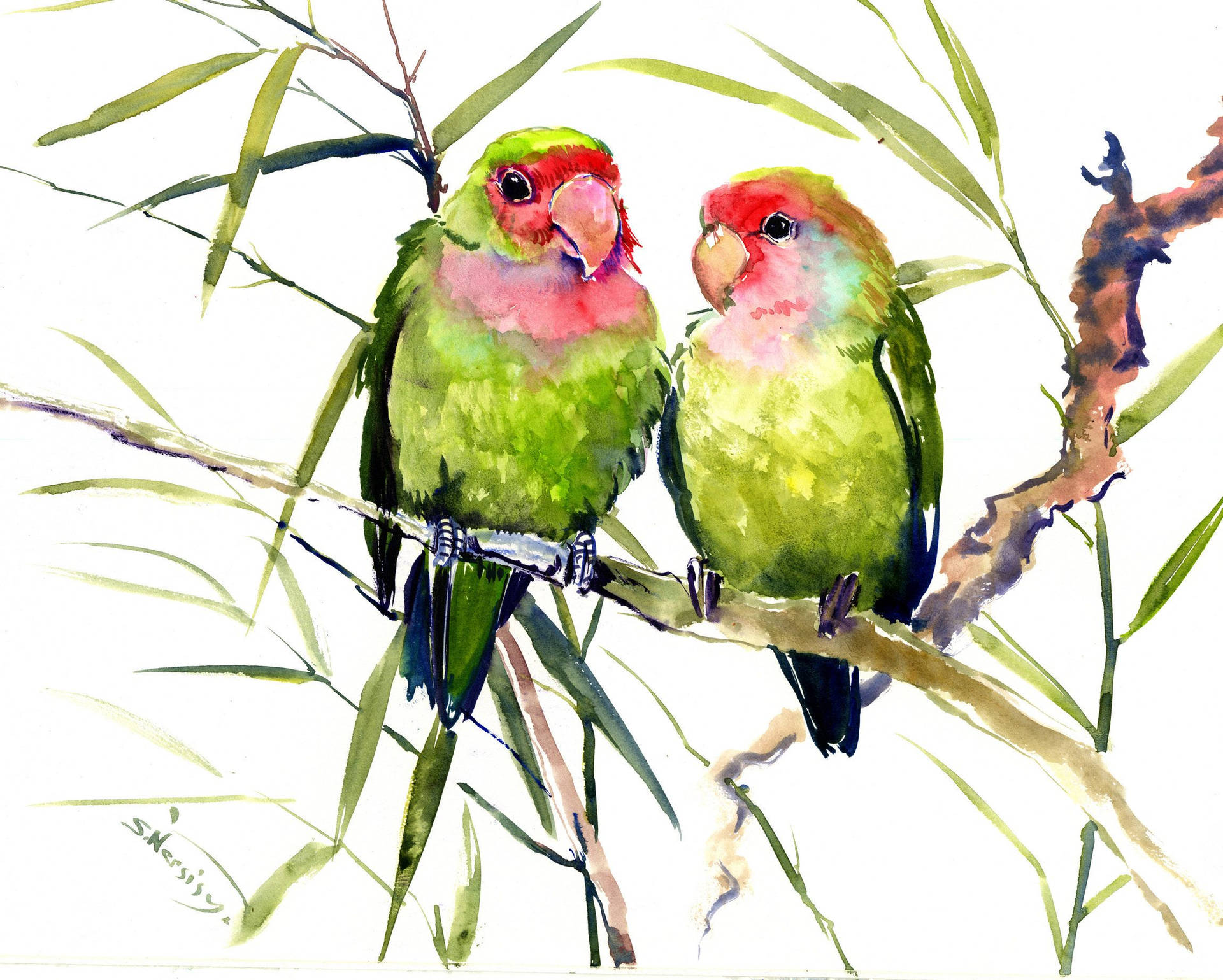 Pair Of Love Birds Admiringly Sitting On A Branch