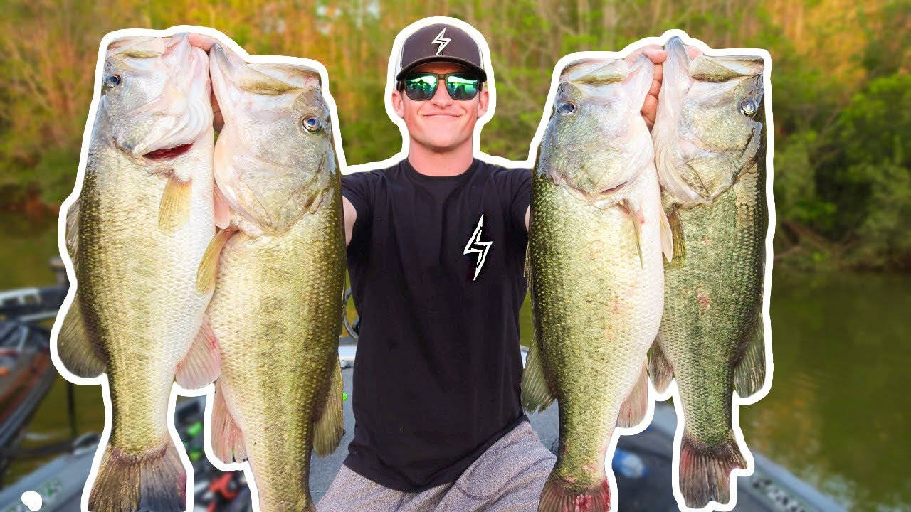 Pairs Of Largemouth Bass Caught