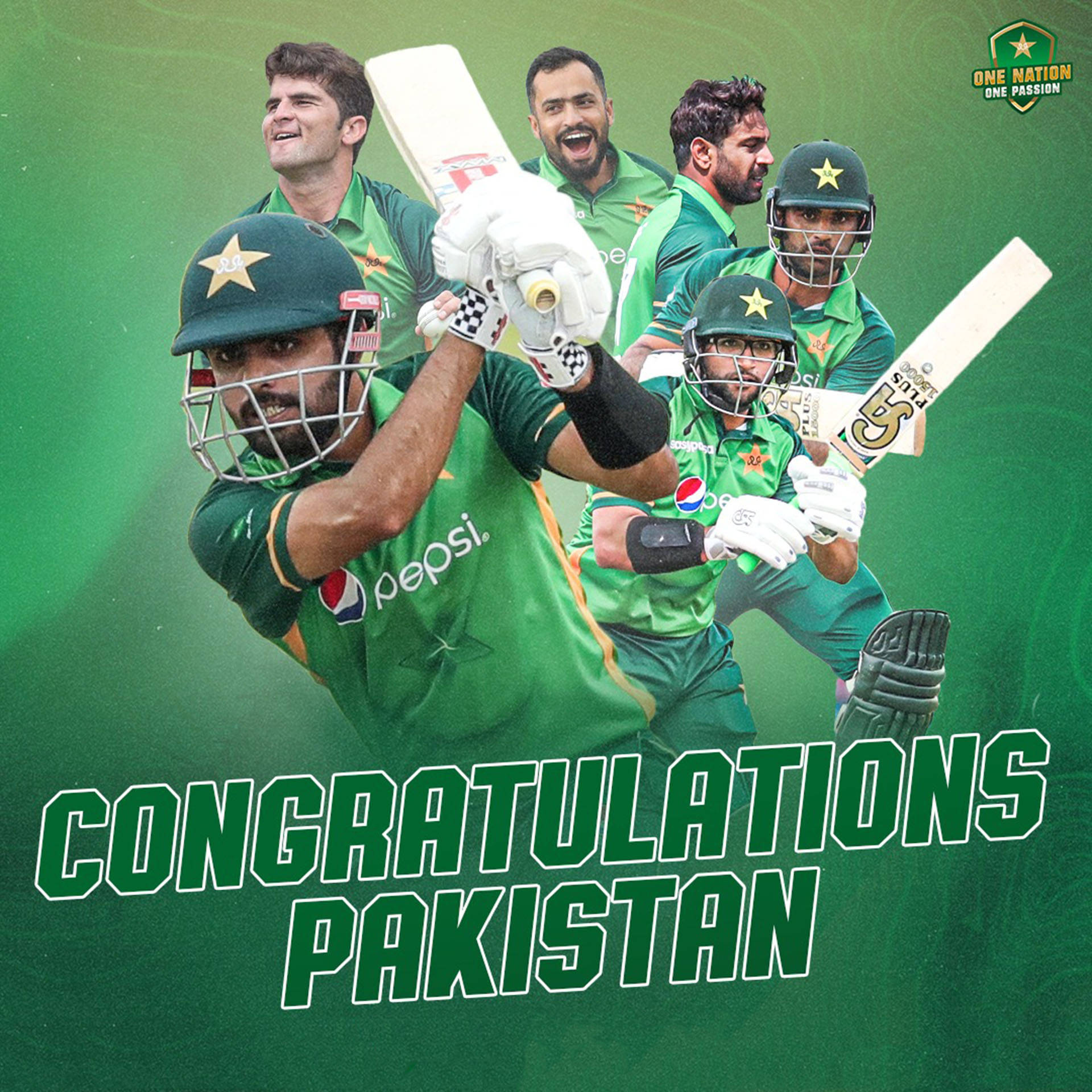 Pakistan Cricket Triumph Poster