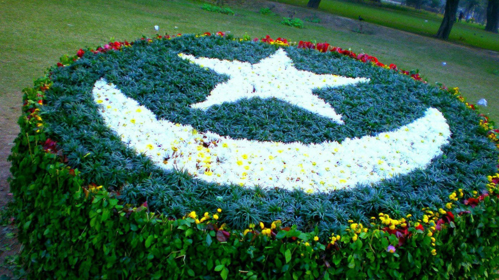 Pakistan Flag Arranged Flowers Background