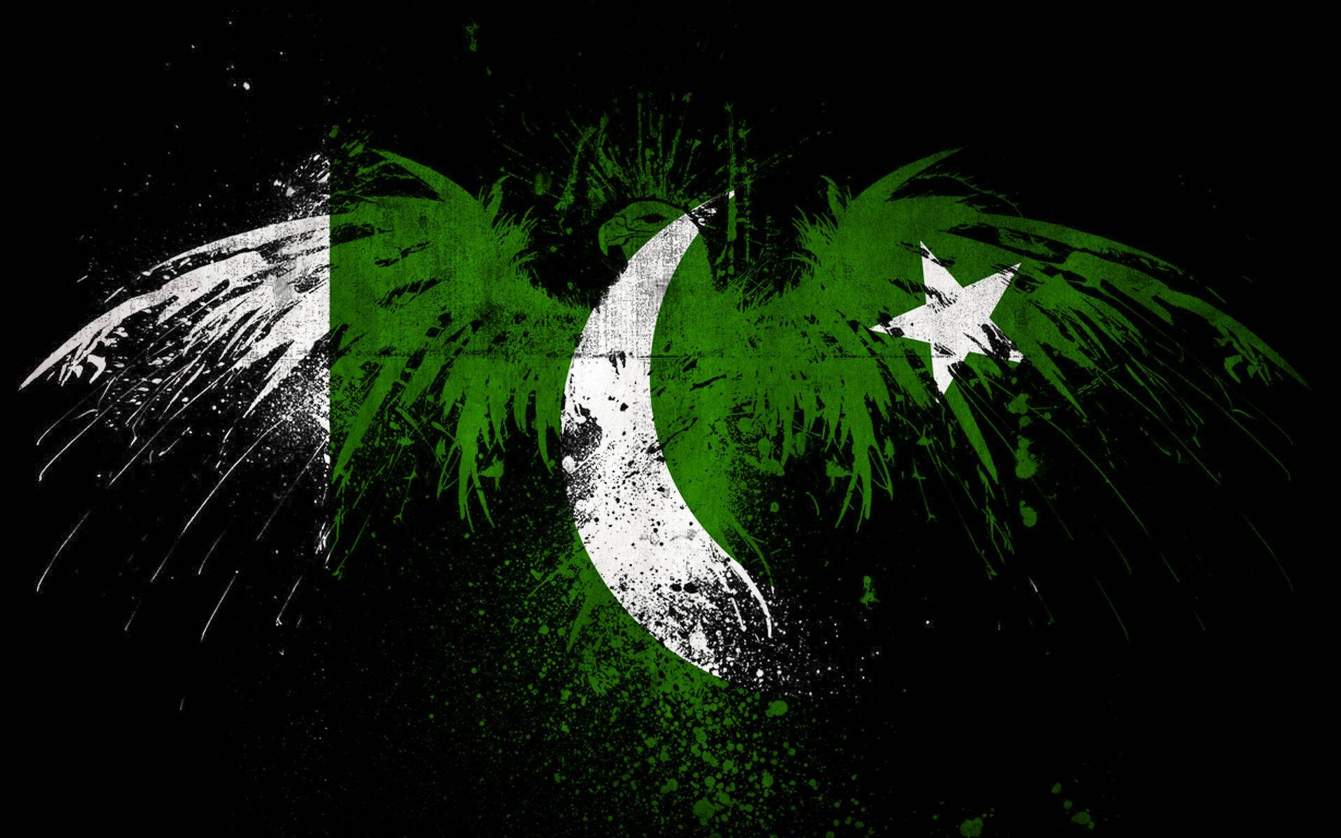 Pakistan Flag Eagles Outline Background