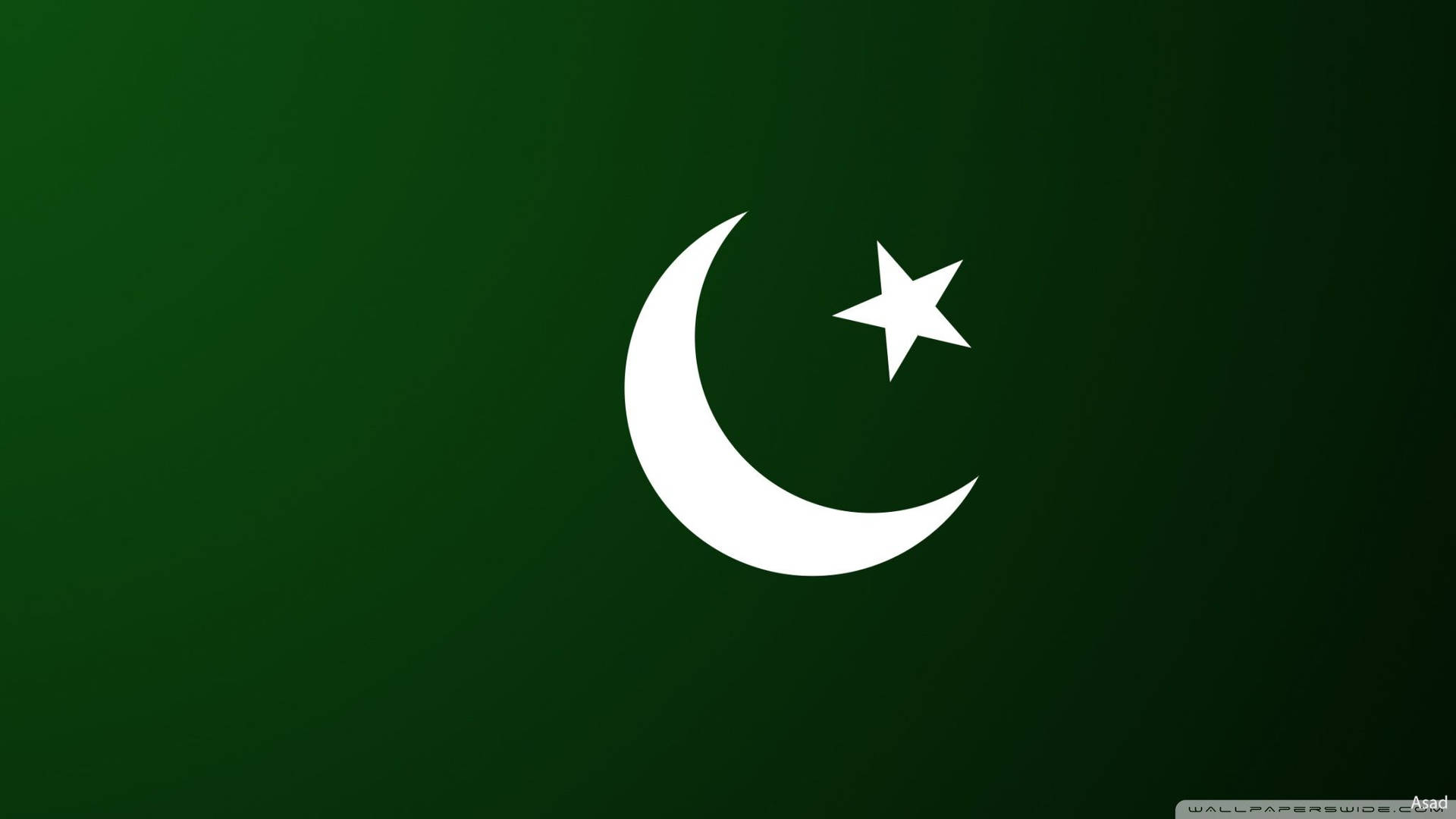 Pakistan Flag Minimalist Digital Illustration Background