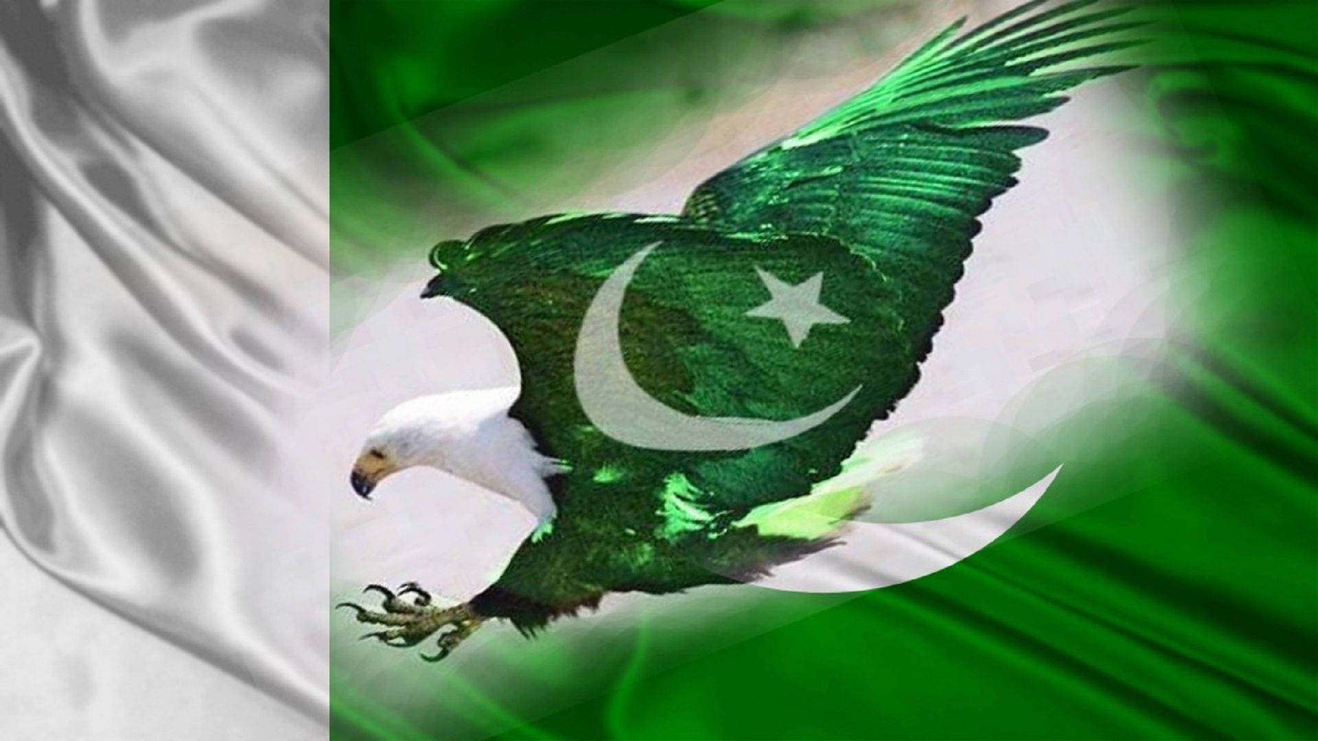 Pakistan Flag On Eagles Body Background