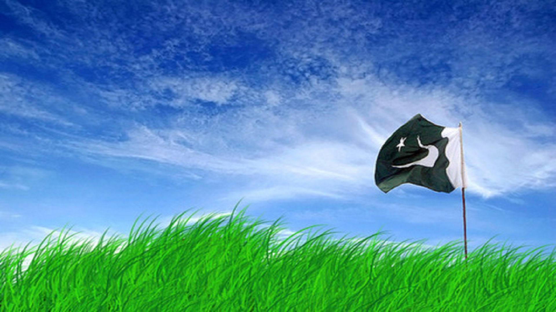 Pakistan Flag On Grassy Field Background