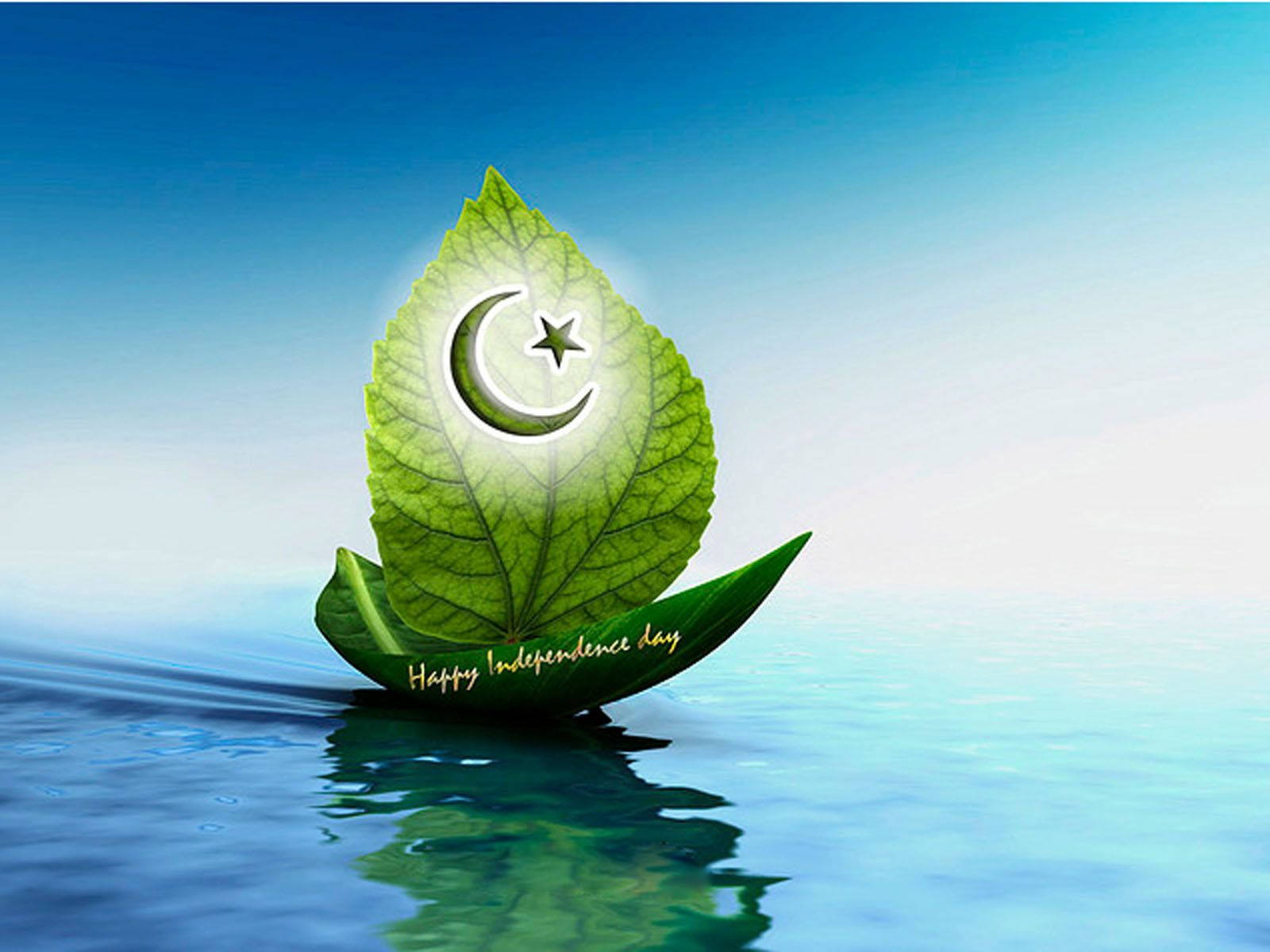 Pakistan Flag On Two Leaves Background
