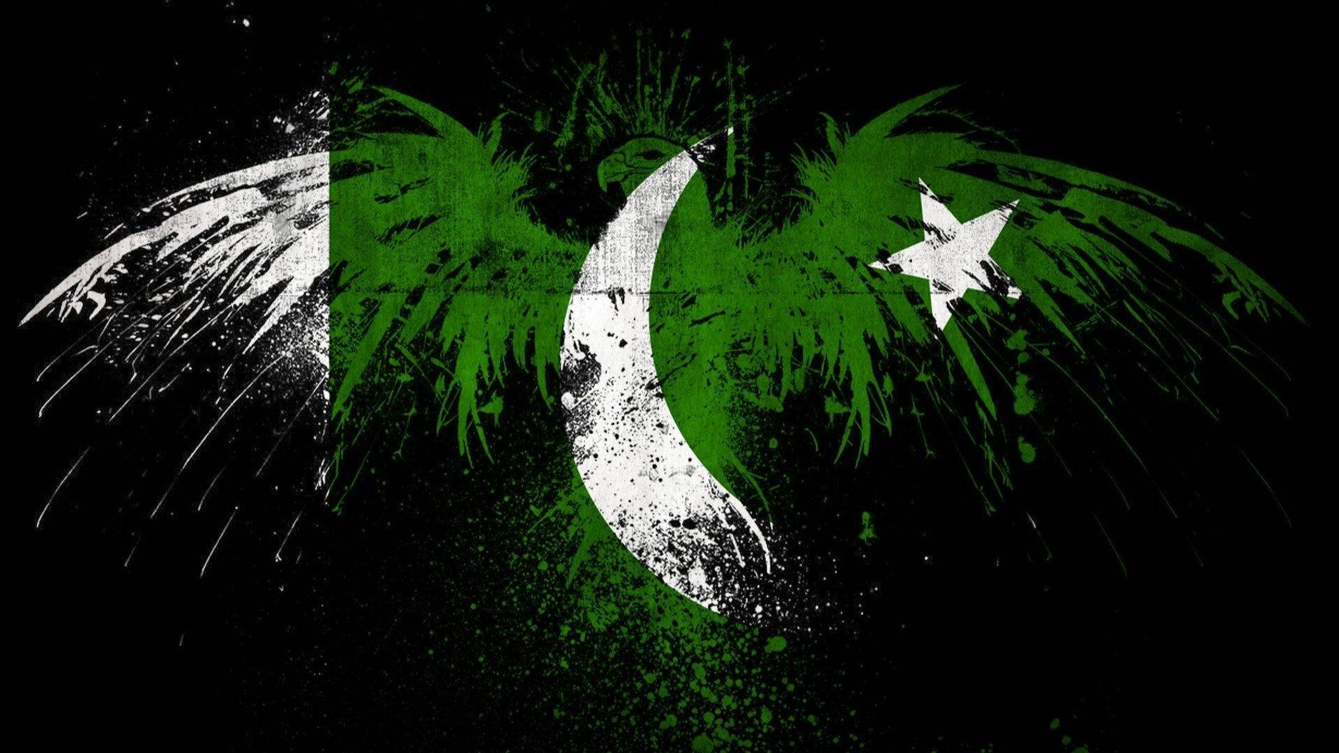 Pakistan Logo Eagle Design Background