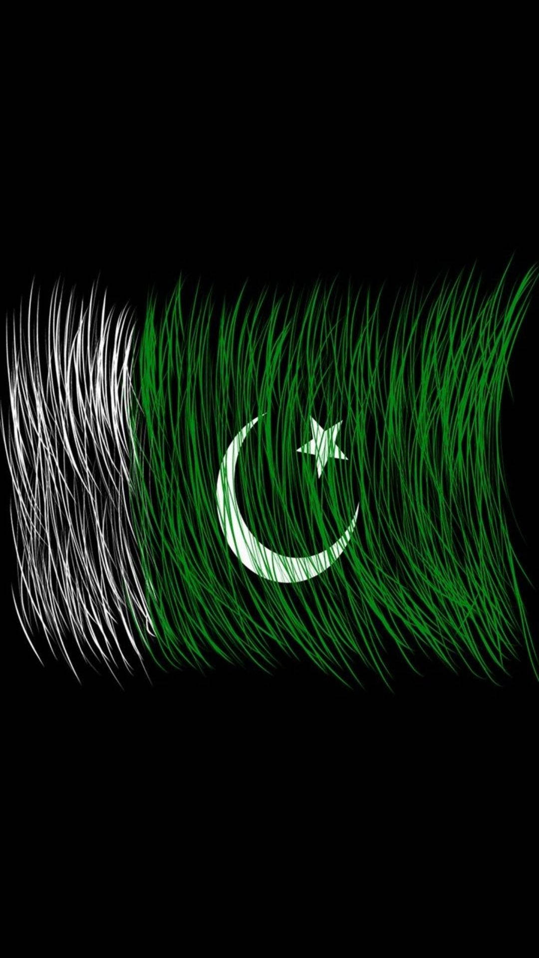 Pakistan Logo In Grass Background