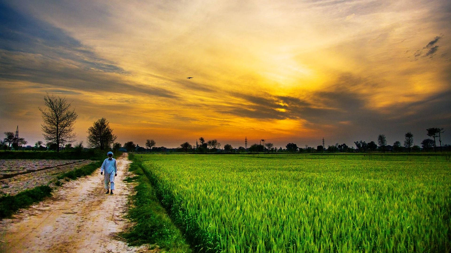 Pakistan Solemn Land Background