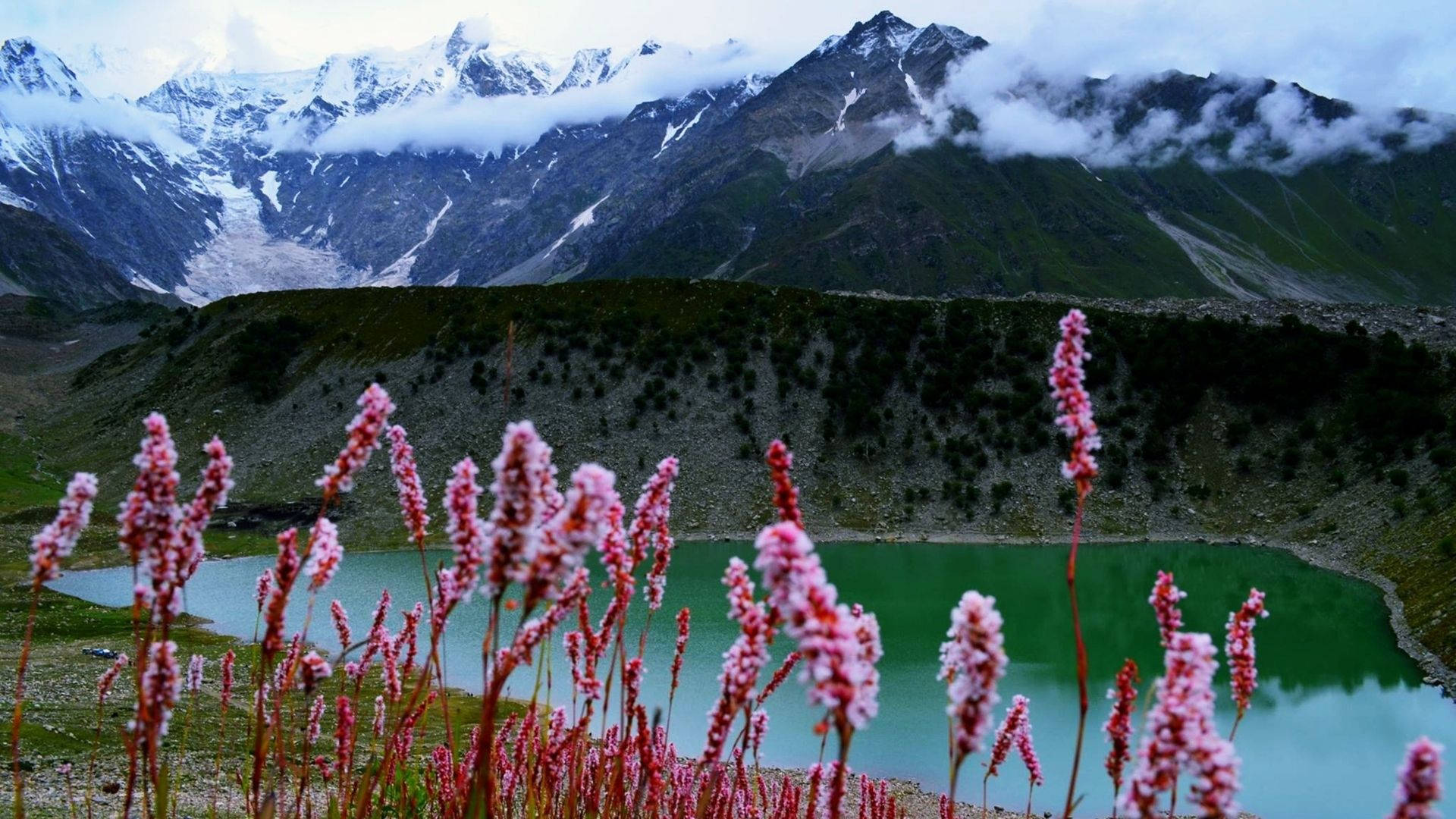 Pakistan Soothing Nature Background