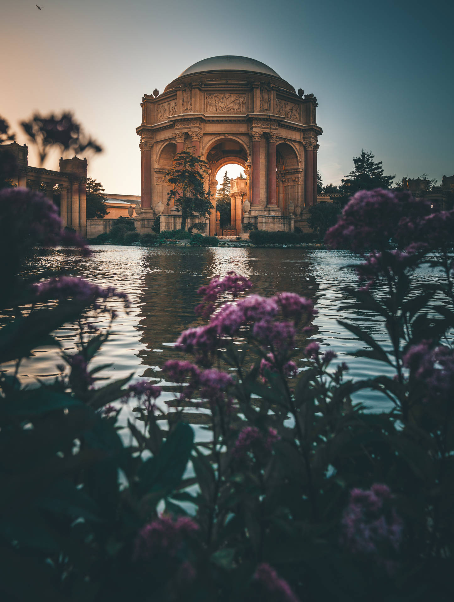 Palace Of Fine Arts Beautiful Flowers Background