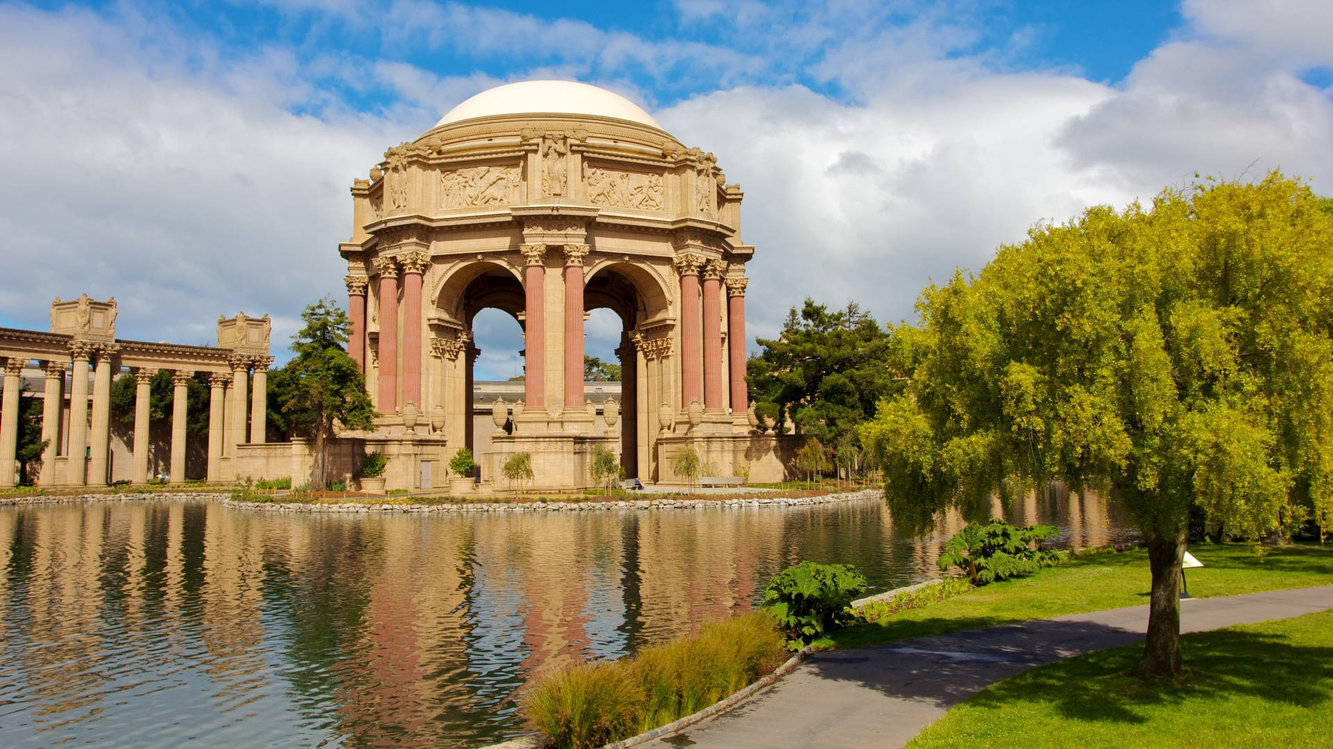 Palace Of Fine Arts Big Tree Background