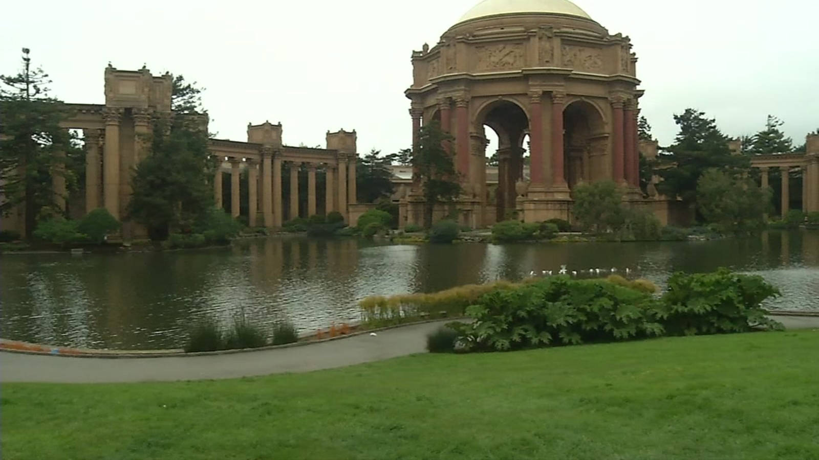 Palace Of Fine Arts Grass Background